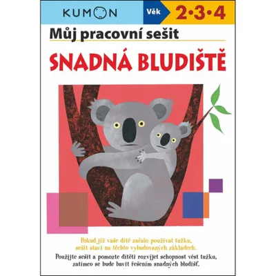 Zdjęcie produktu dla Svojtka & Co. Mein Arbeitsbuch Einfache Labyrinthe