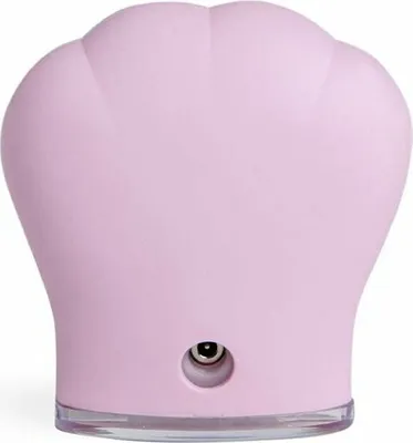 Produktbild von Idc Institute Haut Cleansing Brush 1 Uds