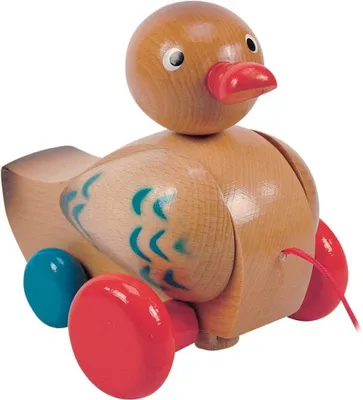Immagine prodotto di Anatra da tiro Woody - marrone