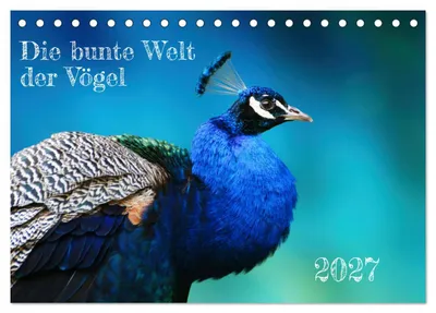 Produktbild von Die bunte Welt der Vögel (Tischkalender 2027 DIN A5 quer), CALVENDO Monatskalender