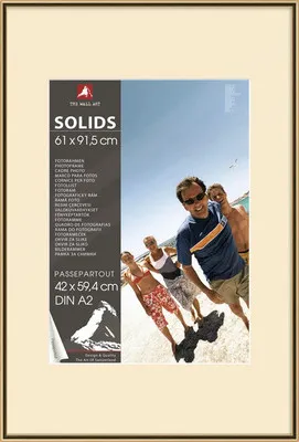 Produktbild von Posterrahmen Kunststoff gold 61x91,5 cm