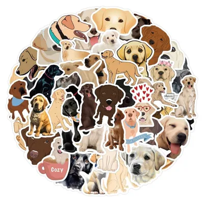 Image de Lot de 50 autocollants Labrador, imperméables, en vinyle, pour voiture, ordinateur portable, skateboard, vélo, moto
