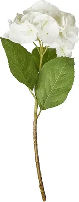 Produktbild von BUTLERS Kunstblume FLORISTA Hortensie