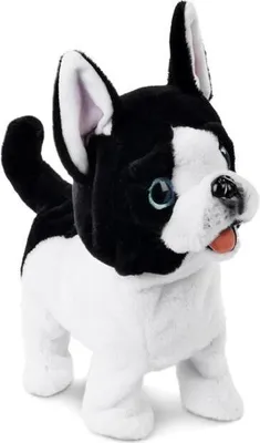 Produktbild von Hund an der Leine
