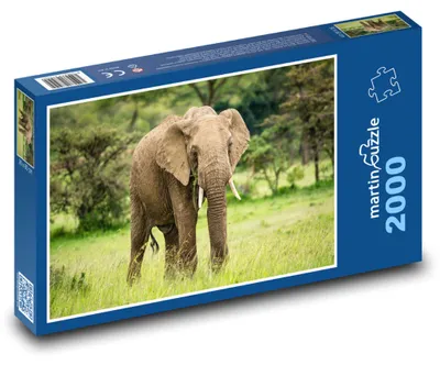 Produktbild von Puzzle 2000 Afrikanischer Elefant in der Savanne - martinpuzzle