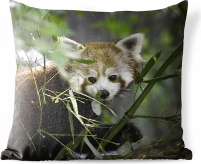 Produktbild von MuchoWow® Outdoor Kissen - Roter Panda - Zweige - Grün - 60x60 cm - Wetterfest - Lounge Kissen - Dekoration - Schlaf Kissen