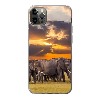Produktbild von MuchoWow® Handyhülle Schutzhülle Hülle für iPhone 12 Pro Max Elefant - Tiere - Gras - Sonnenuntergang - Natur Silikon Softcase Handy Hülle - Hartschale