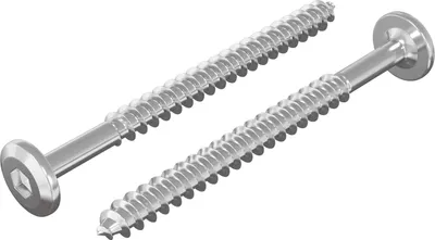 Immagine prodotto di vidaXL Viti per legno 2 pezzi Argento M6 x 70 mm Acciaio