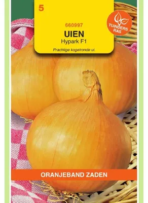 Image de Oignons orange Zwiebeln Hyskin F1 - 1 paquet de graines