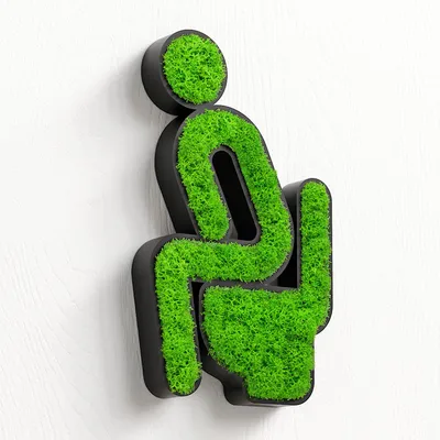 Produktbild von MOOSWERK Natürliches Moos Türschild Toilette Moosschild | Moosbild Deko für WC Schwarz | Nachhaltige Wanddeko Innenbereich