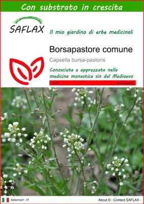 Immagine prodotto di SAFLAX  - Borsapastore comune - 1000 semi - Con substrato - Capsella