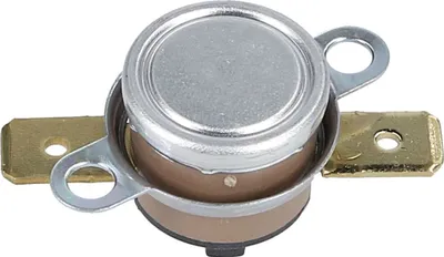 Immagine prodotto di Limitatore di temperatura 70 °C per ventilatore smeg 818730424 nel forno