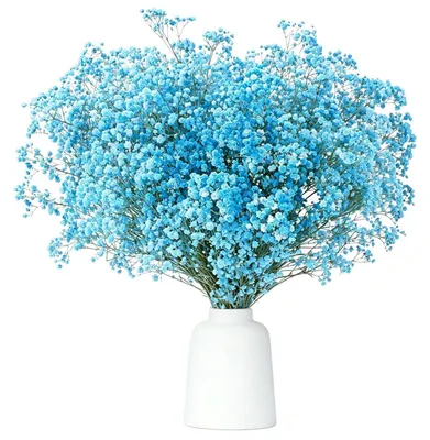 Immagine prodotto di Fiori secchi di Schleierkraut blu, altezza 43 cm, con oltre 3500 boccioli, ideali per decorazioni