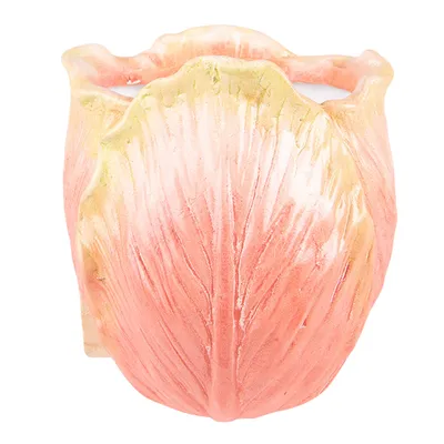 Zdjęcie produktu dla Doniczka Clayre & Eef 12x8x15 cm pomarańczowa ceramiczna