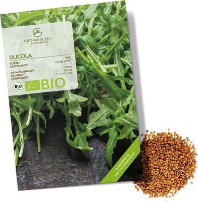 Produktbild von Rucola Samen (Diplotaxis tenuifolia, 750 Korn) - Wilde Rauke Saatgut aus biologischem Anbau ideal für die Anzucht im Garten, Balkon oder Terrasse