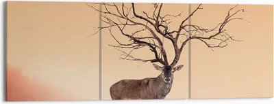 Produktbild von Bild auf Leinwand - Leinwandbild - Hirsch Baum Nebel Wald - 150x50cm - Wand Bild - Wanddeko - Leinwanddruck - Bilder - Kunstdruck - Wanddekoration - Leinwand bilder - Wandkunst - CA150x50-3127