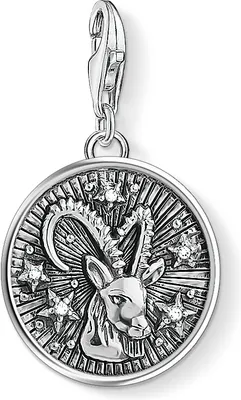 Produktbild von THOMAS SABO Charm-Anhänger "Sternzeichen Steinbock" Silber Z