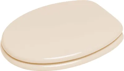 A toilet seat is shown from a slightly elevated angle against a white background.