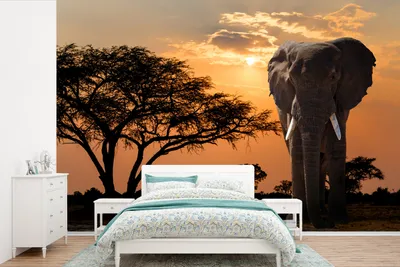 Produktbild von Afrikaans Wandtuch Olifantmotiv - Baum - Afrika - Breite 450 cm x Höhe 300 cm