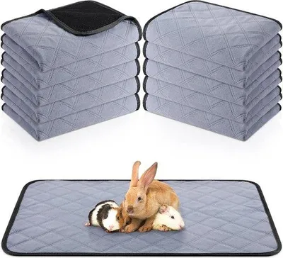 Produktbild von Famanu Waschbare Plaskissen für Haustiere - 10 Stück - Absorbierend - Antirutsch - 30 x 61 cm