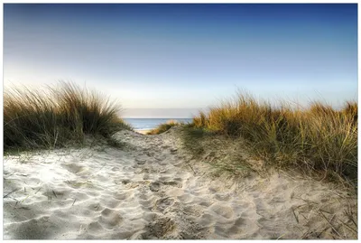 Produktbild von Wallario Wandbild aus Acryl, 90 x 60 cm, freischwebende Optik - Weg durch die Dünen zum Strand am Meer