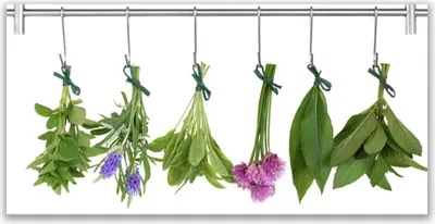 Produktbild von Tulup Leinwand-Bilder 120x60 Wandbild Canvas Kunstdruck Blumen Blätter Pflanzen