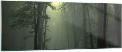 Produktbild von Bilder auf glas - Wald Nebel Baum - 140x50cm - Glasbilder - Wandbilder - Kunstdruck - zum Aufhängen bereit - Wanddekoration aus Glas - Glas Bilder - Wandbild auf Glas - Einteilig - GAB140x50-3543