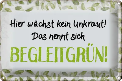 Produktbild von Blechschild Spruch 30x20cm wächst kein Unkraut Begleitgrün