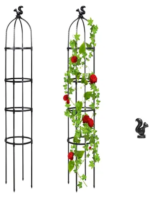 Produktbild von Gartenbau Kletterrebe Pflanze Kletterrebe Spalier für Schlingpflanzen