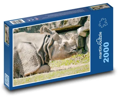 Obrázok produktu pre martinpuzzle - Puzzle 2000 - Nosorožec - cicavec