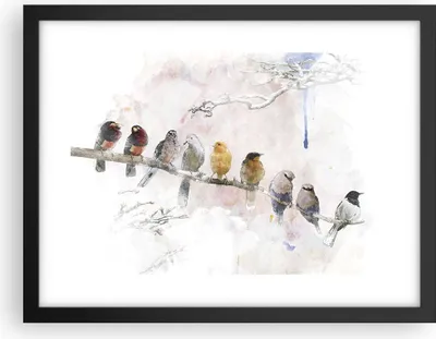 Produktbild von Gerahmtes Poster - Schwarzer Rahmen - Vögel Kanarienvogel Zweig - 40x30 cm - Wand Bild - Wanddeko - Wandbilder - Wandposter - Bilderrahmen - Bilder - Kunstdruck - Wandbild - P2BAA40x30-4175