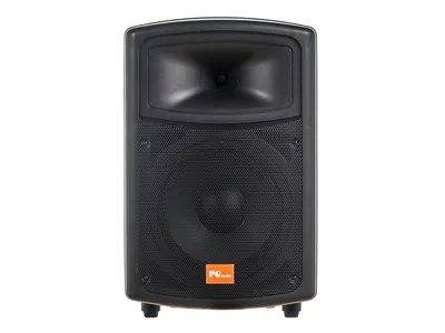 Produktbild von PG Audio PA 100,Disko,Party,Pa Lautsprecher,10 Zoll,1 Stück Neu