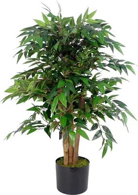 Immagine prodotto di Albero artificiale da 90 cm, pianta Smilax