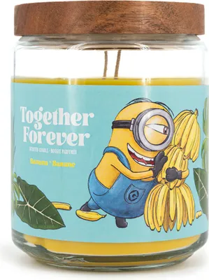 Obrázok produktu pre Minions A2248 Duftkerze Minions Together Forever - 510g