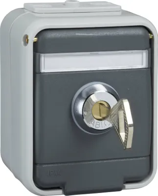 Immagine prodotto di Presa Elso 455019