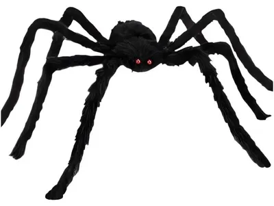 Produktbild von Ruhhy 26029 Riesige Spinne, 50 cm, schwarz