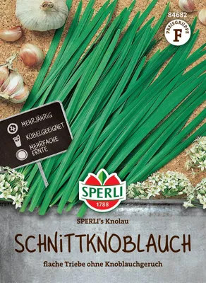 Produktbild von SPERLI Schnittknoblauch Samen Knolau Allium tuberosum 1-2 lfd. Meter