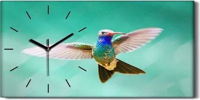 Produktbild von Wohnzimmer-Bild Leinwand Uhr Quarz 60x30 Gemälde Abstrakte Tier Vogel Kunst - schwarze Hände