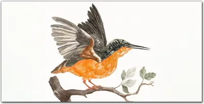 Produktbild von Coloray - Bild aus Glas - Glasbilder - 100 x 50 cm - Glasblock mit Bild Gehärtetes Glas Wohnzimmer Küche Dekoration Wanddekoration - Tier Vogel Zweig