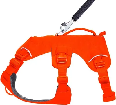 Produktbild von Ruffwear Hundegeschirr Web Master Harness Blaze Orange, Größe: S