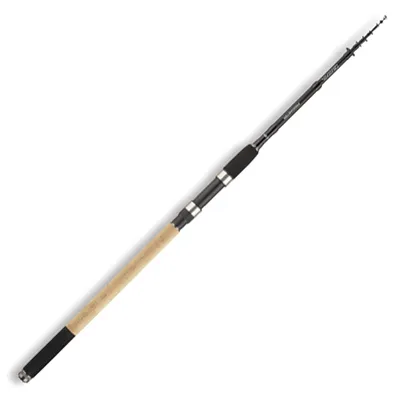 Produktbild von Daiwa Procaster Tele 3,00m 10-30g Allroundrute