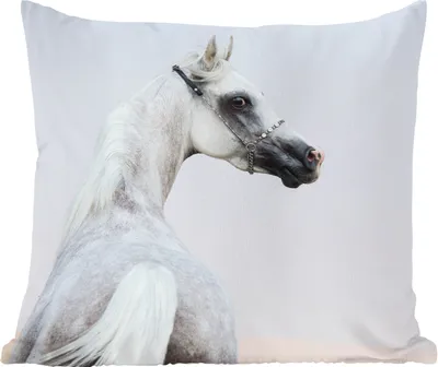 Produktbild von MuchoWow® Zierkissen Sofakissen Wohnzimmer Dekokissen 50x50 cm Pferd - Sand - Pastell - Komfort - Sofakissen