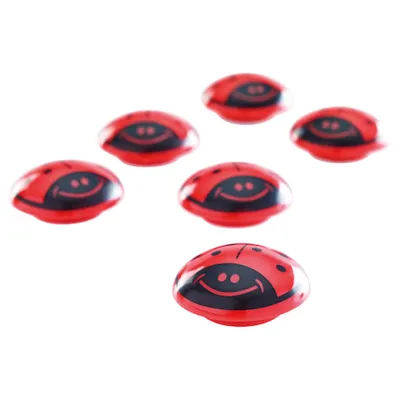 Produktbild von Magnete Käfer rot-schwarz