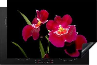 Produktbild von KitchenYeah© Herdabdeckplatte Rote Orchideen vor einem schwarzen Hintergrund , 81x52cm, Küche Deko, Glaskeramikkochfeld Herdabdeckung, Abdeckplatte fùr Kochfeld