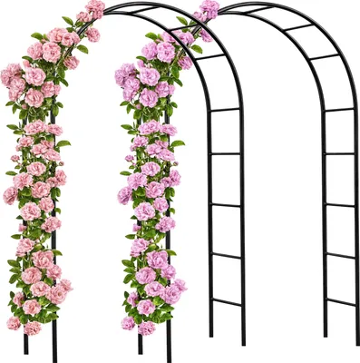 Image de 2x Arche de jardin 240x140x37cm Support pour plantes grimpantes Arche à rosiers Tuteur Décoration extérieure