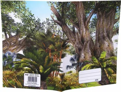 Zdjęcie produktu dla REAS-PACK Zeszyt ćwiczeń szkolnych 440 Baobab