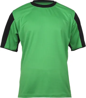 Produktbild von Dynamo Kurzarmtrikot grün, 164