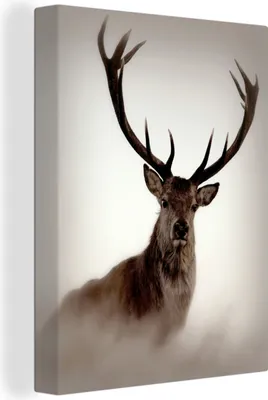 Produktbild von MuchoWow® - Leinwandbilder - Porträt - Hirsch - Geweih, Wandbild, Wanddeko Bilder Wohnzimmer, 60x80 cm