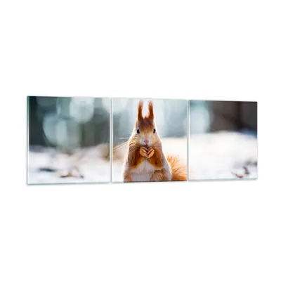 Produktbild von Bilder auf glas - Eichhörnchen Winter Schnee Essen - 150x50cm - Glasbilder - Wandbilder - Kunstdruck - zum Aufhängen bereit - Wanddekoration aus Glas - Glas Bilder - Wandbild auf Glas - GCA150x50-2798