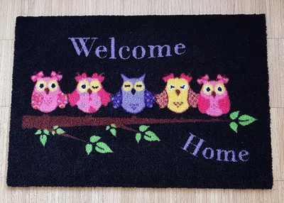 Produktbild von Fußmatte Fußabtreter Schmutzmatte Motiv Design 5 Eulen OWL